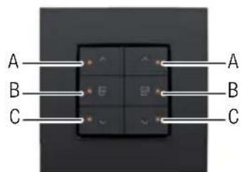 Niko 55014031 - llustraciona - 4