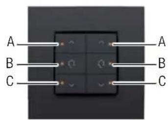 Niko 55014030 - Ilustracja - 4