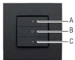 Niko 55014021 - llustraciona - 3