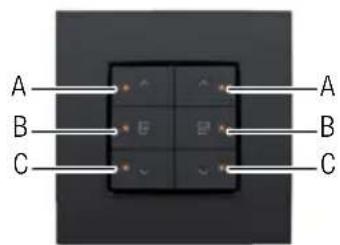 Niko 55014021 - llustraciona - 4