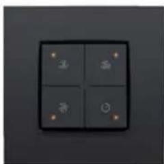 Niko 55014037 - llustracja - 1