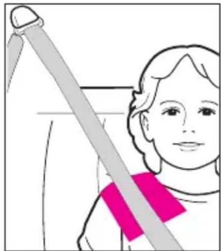 GRACO Peacoat - Lista de Peças - 4