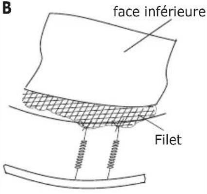 EXIT Supreme Ground Level Rectangular - Étape 9 - 3