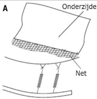 EXIT InTerra - STAP 9 - 2