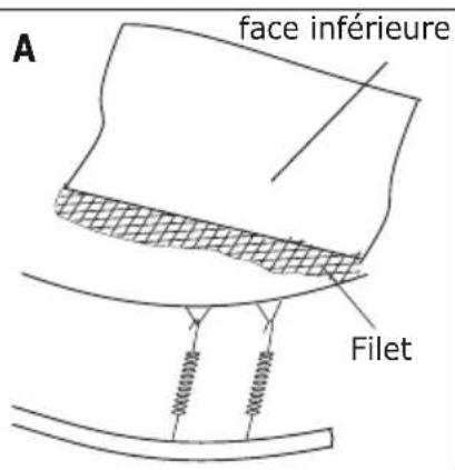 EXIT InTerra - Étape 9 - 2