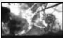 SONY Majin and the Forsaken Kingdom (PS3) - 2:USE MAIN CHARACTER'S ATTACKS TO CREATE A COMBINATION CHANCE - 1