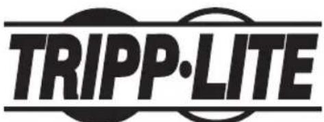 Tripp Lite DWM1742MA - Texnueckoe 6cbnykmbaHne - 1