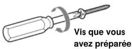 SONY SUW200 - Insérez quatre des vis que vous avez préparées dans les positions marquées à l'étape 2 (page 4). - 1
