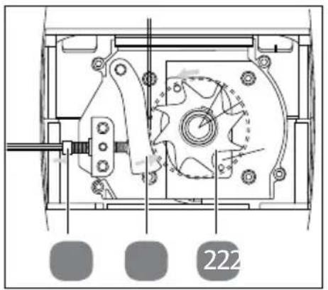 Gardenline GLLH 2547 - Einstellen des Gegenmessers - 1