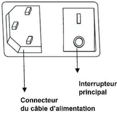 Maxxus LifePlate 2.0 - Interrupteur principal - 1