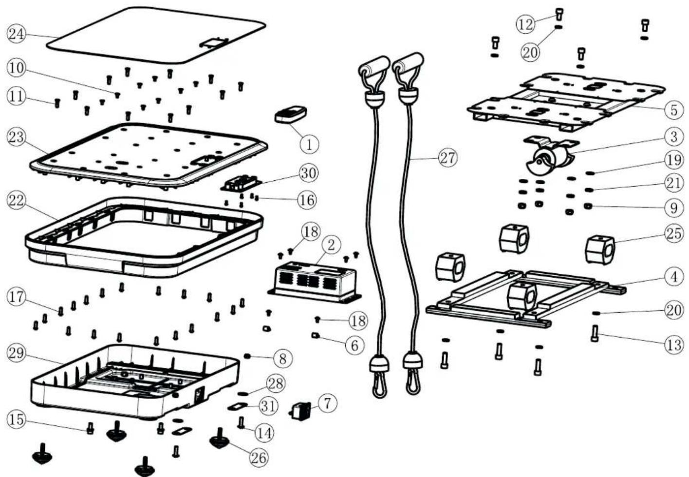 Maxxus LifePlate 2.0 - Directive n° 2002/96/CE relative aux déchets d'équipements électriques et électroniques (DEEE) - 1