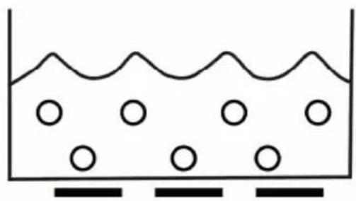ESSENTIELB Pedispa II ETP 5 - Atentionauisisquel'delectroductiOn - 4