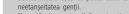 HAMA 00178175 - Informatii importante - 9