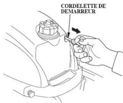 Honda BF2D (2008) - Huile recommende: - 3