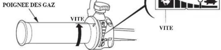 Honda BF2D (2008) - Type MANETTE DE COMMANDDE DES GAZ: - 1