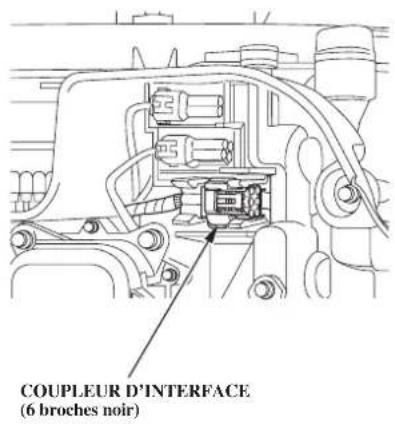 Honda BF135A (2011) - Coupleur d'interface - 1