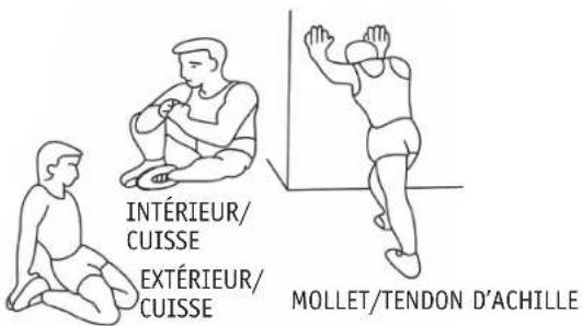 REX VX200 - Exercices d'entraînement - 2