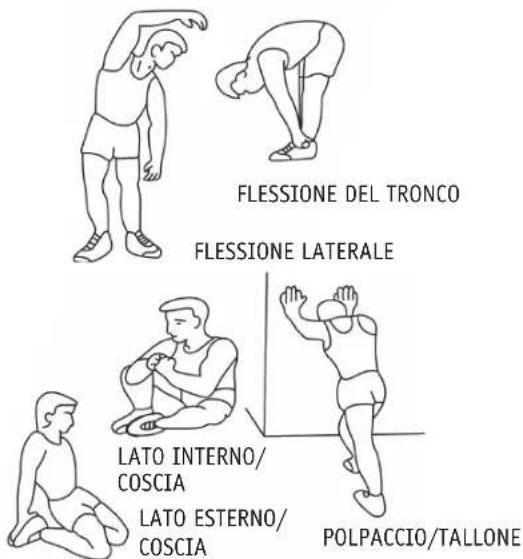 REX VX200 - Esercizi di allenamento - 1