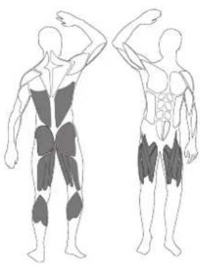 LANAFORM Power New Tech - FR - SQUAT 2 - 1