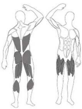 LANAFORM Power New Tech - FR - SQUAT - 1