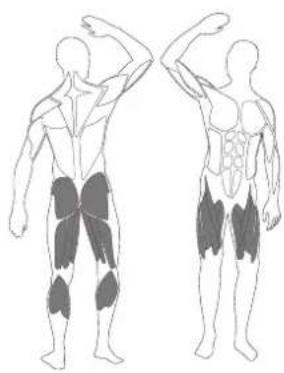 LANAFORM Power New Tech - DU - ADDUCTOR STRETCH - 1