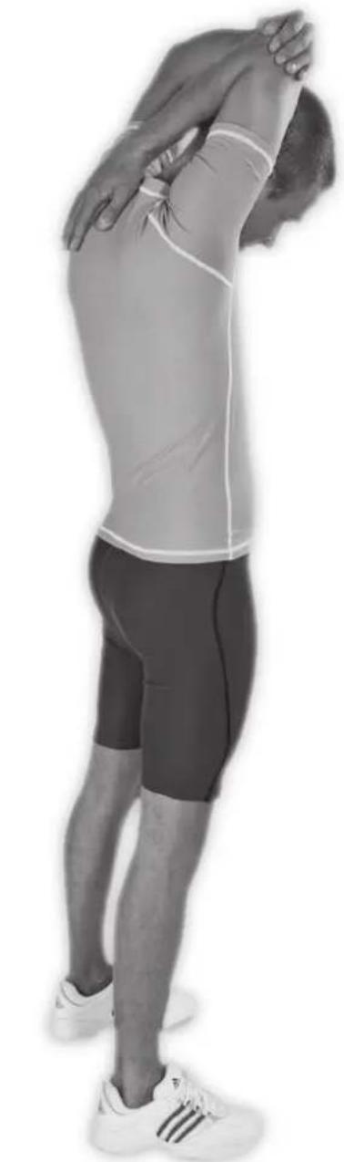 LANAFORM Luxury Up & Down - RU-PACTXKA TPNLJENCOB - 1