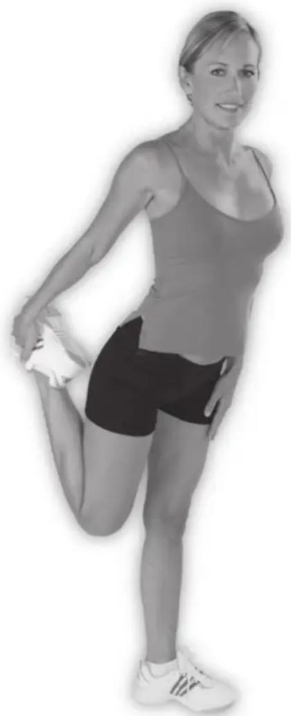 LANAFORM Club Up & Down - Exercices - 1