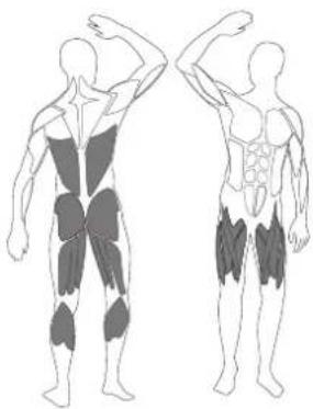 LANAFORM Club Up & Down - FR - ETIREMENT DU TRICEPS - 1
