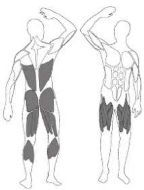 LANAFORM Club Up & Down - FR - SQUAT - 1