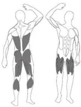 LANAFORM Club Up & Down - FR - SQUAT 2 - 1