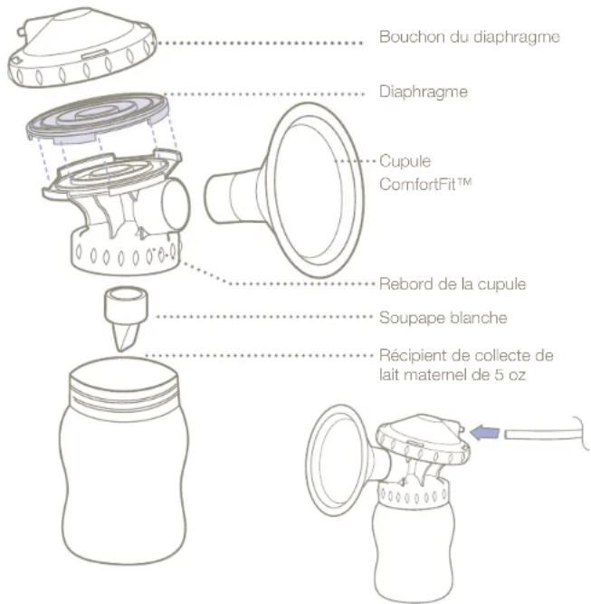 Lansinoh SignaturePro - Assemblage de l'ensemble de tire-lait - 1
