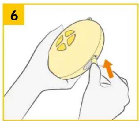 MEDELA Swing Maxi - Assembling the pump set - 10