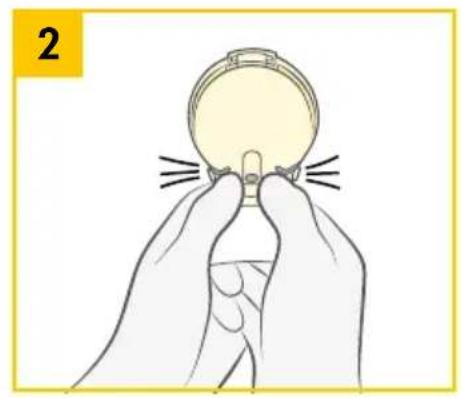 MEDELA Swing Maxi - Assemblage du set tire-lait - 5