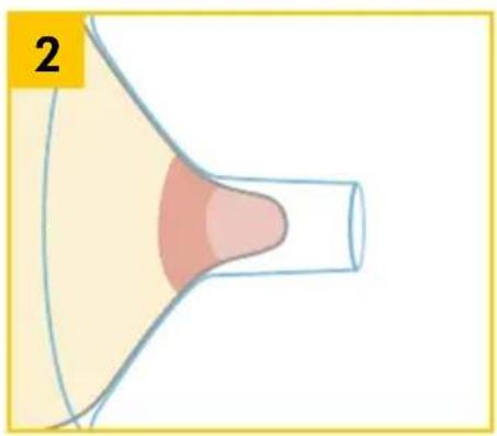 MEDELA Swing Maxi - Swing Maxi Flex - Preparing for single pumping - 3