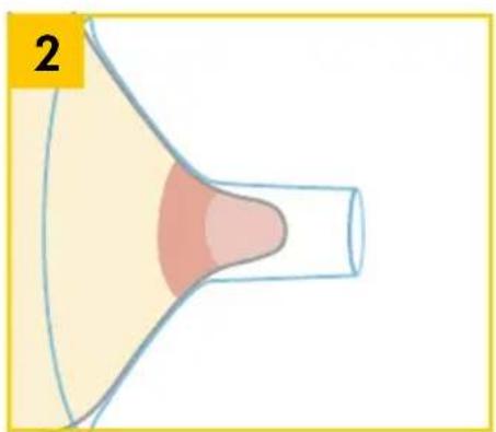 MEDELA Swing Maxi - Swing Maxi Flex - Preparing for single pumping - 7