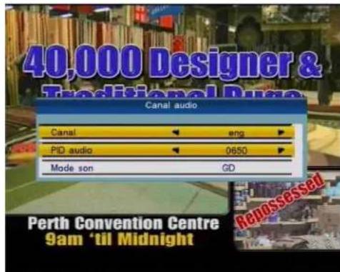 TRIAX TTR 301 - Audio - 3