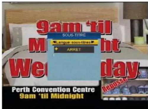 TRIAX TTR 301 - Sous-titres DVB - 1