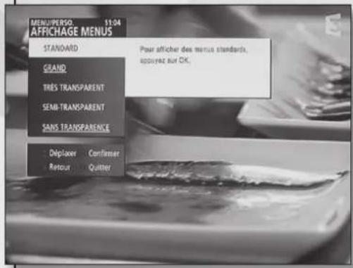 TRIAX TSR 8000 - Configuration d'affichage - 1