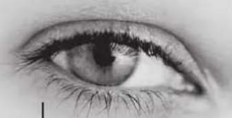 TRIAX TSR 8000 - Fonction TIMER - 2