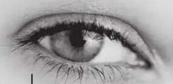 TRIAX TSR 8000 - ② Installation rapide - 2