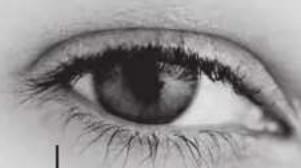 TRIAX TSR 8000 - Note : - 1