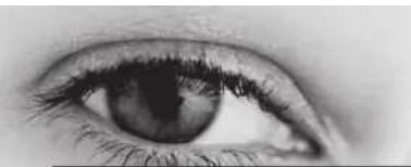 TRIAX TSR 8000 - Résumé - 1