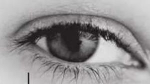 TRIAX TSR 8000 - Réglage du volume - 2