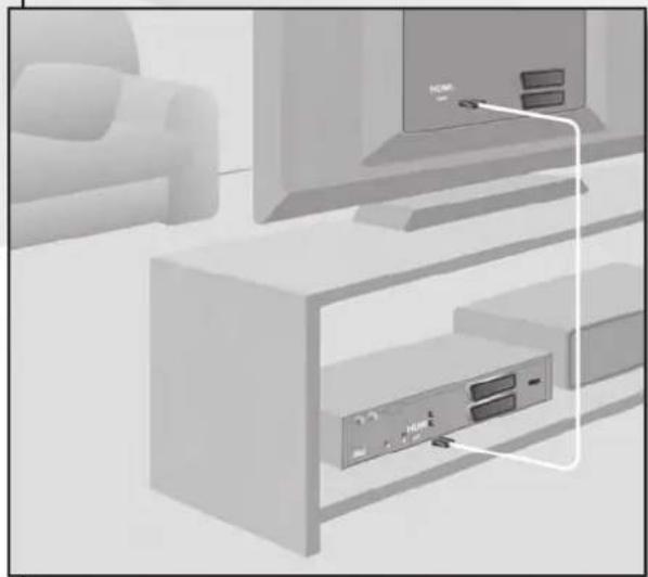 TRIAX TSR 8000 - Branchement avec un téléviseur - 1