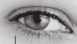 TRIAX TSR 8000 - Branchement à une prise secteur - 1