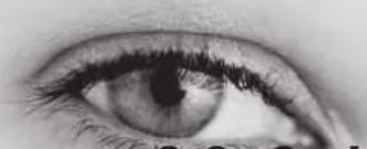 TRIAX TSR 8000 - Menu du terminal - 2