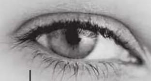 TRIAX TSR 8000 - Les fonctions des touches - 1