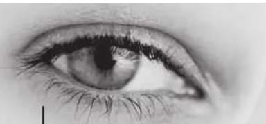 TRIAX TSR 8000 - Pour verrouiller une ou plusieurs chaînes : - 2