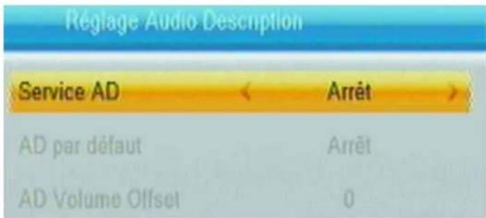 TRIAX TR 43 - Réglage audio description - 1