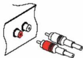 TRIAX THR 9500 - Raccordements audio - 1